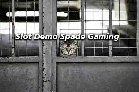 Slot Demo Spade Gaming memberikan jackpot